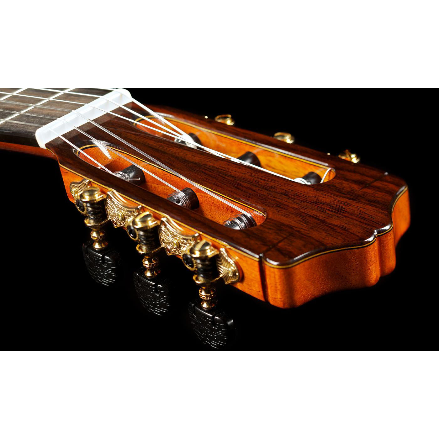 Đàn Guitar Classic Cordoba C9 CD/MH w/Bag-Mai Nguyên Music