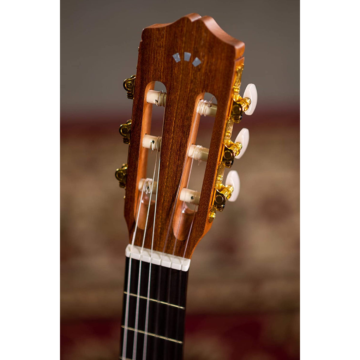 Đàn Guitar Classic Cordoba Protege C1M-CE-Mai Nguyên Music