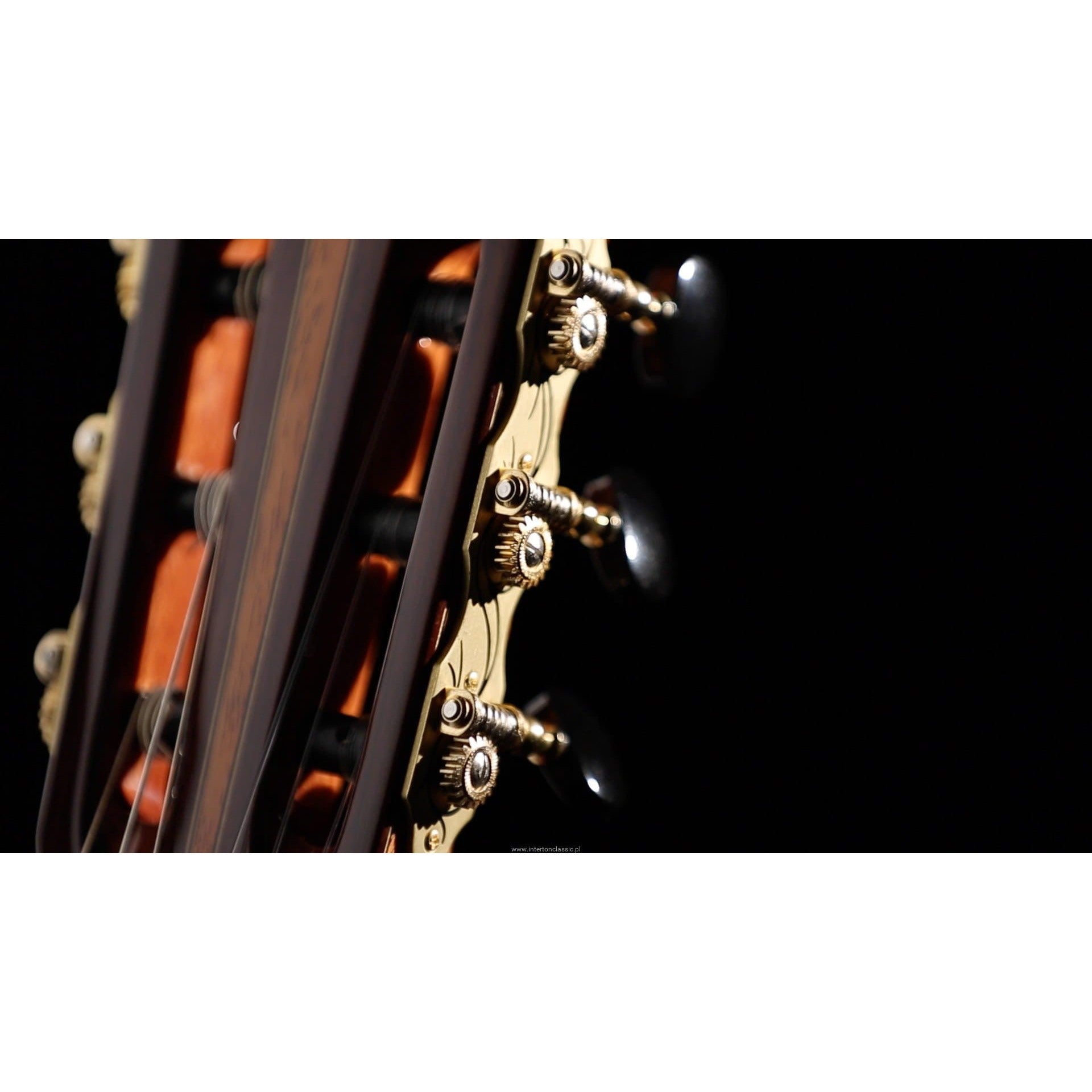 Đàn Guitar Classic Martinez MC118C-Mai Nguyên Music