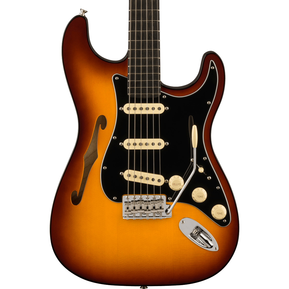 Đàn Guitar Điện Fender Limited Edition Suona Stratocaster Thinline-Mai Nguyên Music