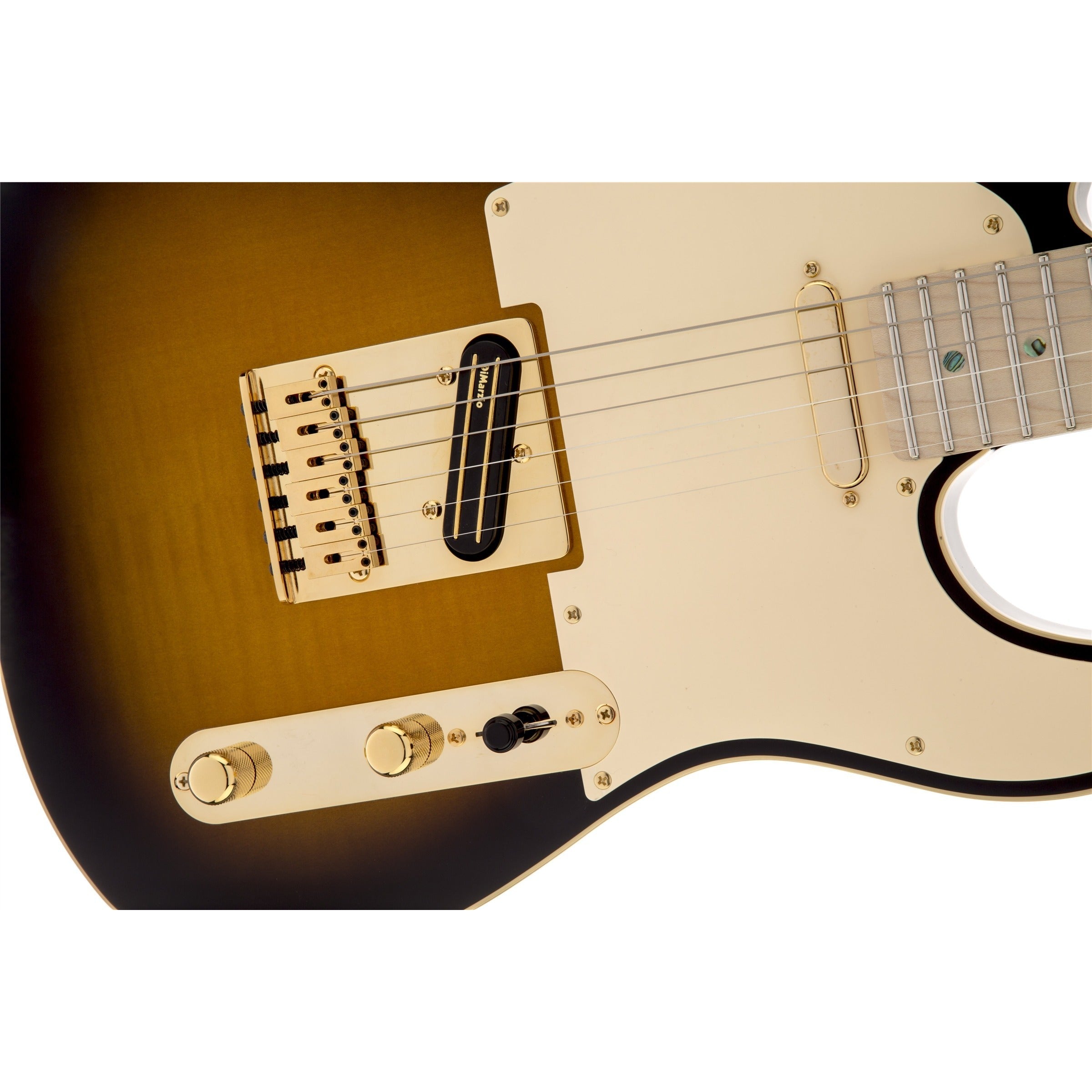 Đàn Guitar Điện Fender Richie Kotzen Telecaster-Mai Nguyên Music