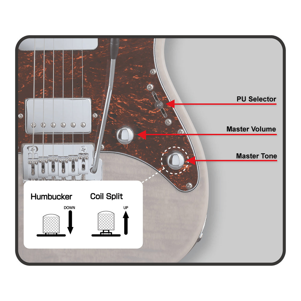 Đàn Guitar Điện GrassRoots G-SNAPPER-CTM/P-Mai Nguyên Music