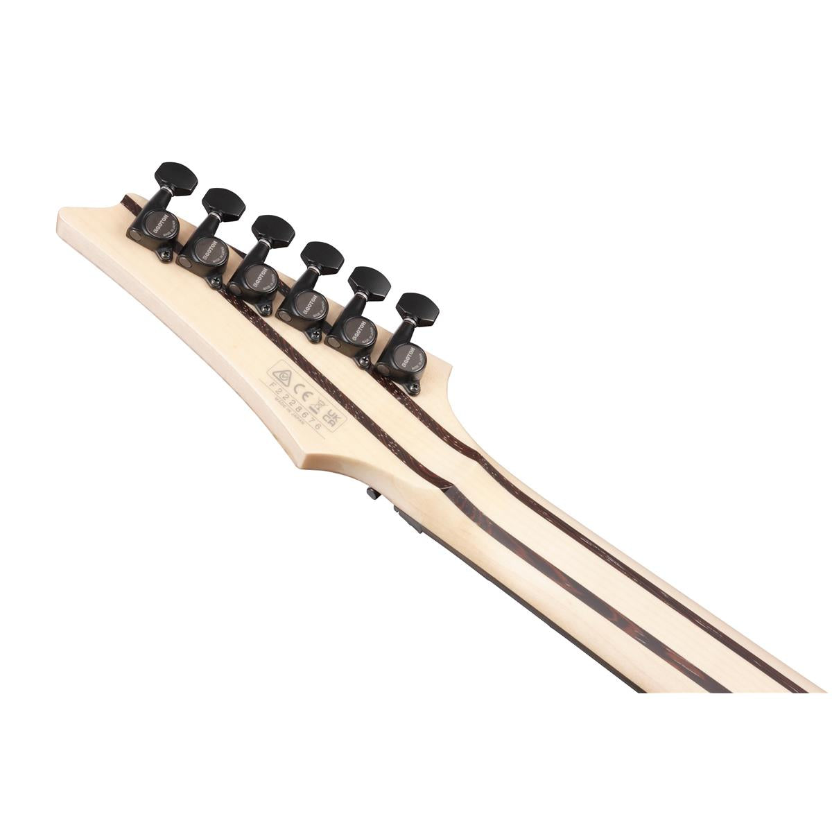 Đàn Guitar Điện Ibanez Axe Design Lab RG8870, Black Rutile-Mai Nguyên Music