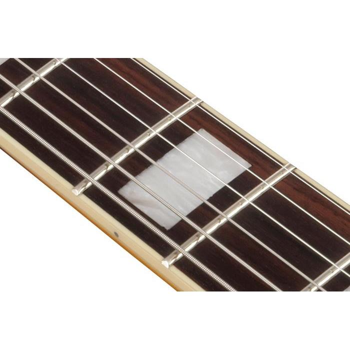 Đàn Guitar Điện Ibanez JSM10EM John Scofield Signature HH, Ebony Fingerboard, Two-Tone Burst-Mai Nguyên Music
