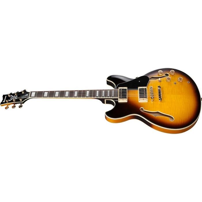 Đàn Guitar Điện Ibanez JSM10EM John Scofield Signature HH, Ebony Fingerboard, Two-Tone Burst-Mai Nguyên Music