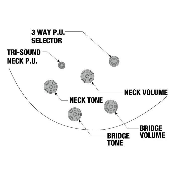 Đàn Guitar Điện Ibanez JSM10EM John Scofield Signature HH, Ebony Fingerboard, Two-Tone Burst-Mai Nguyên Music