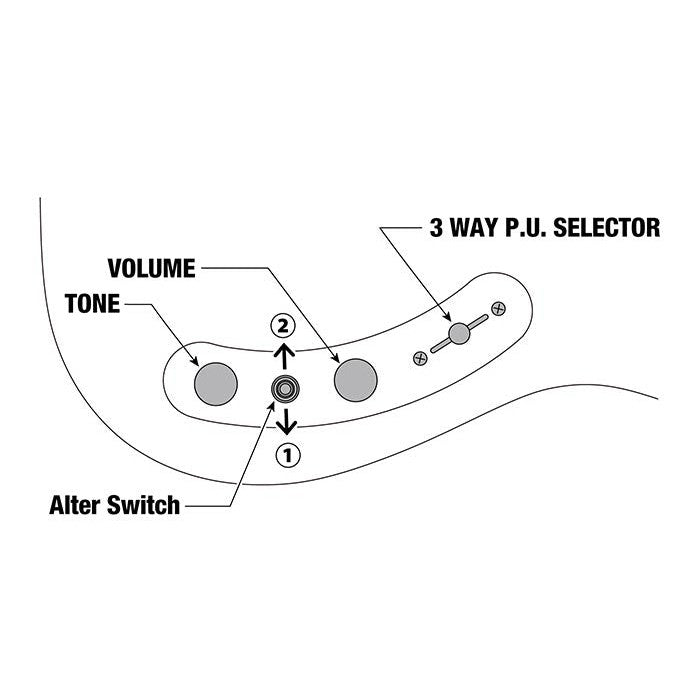 Đàn Guitar Điện Ibanez Prestige AZS2209 w/Case-Mai Nguyên Music