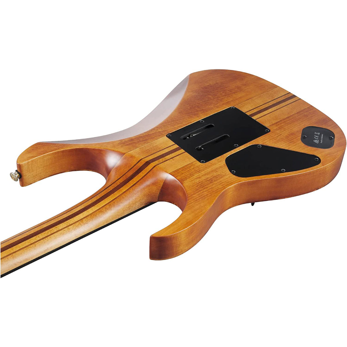 Đàn Guitar Điện Ibanez RG Premium RGT1220PB w/Bag, Antique Brown Stained-Mai Nguyên Music