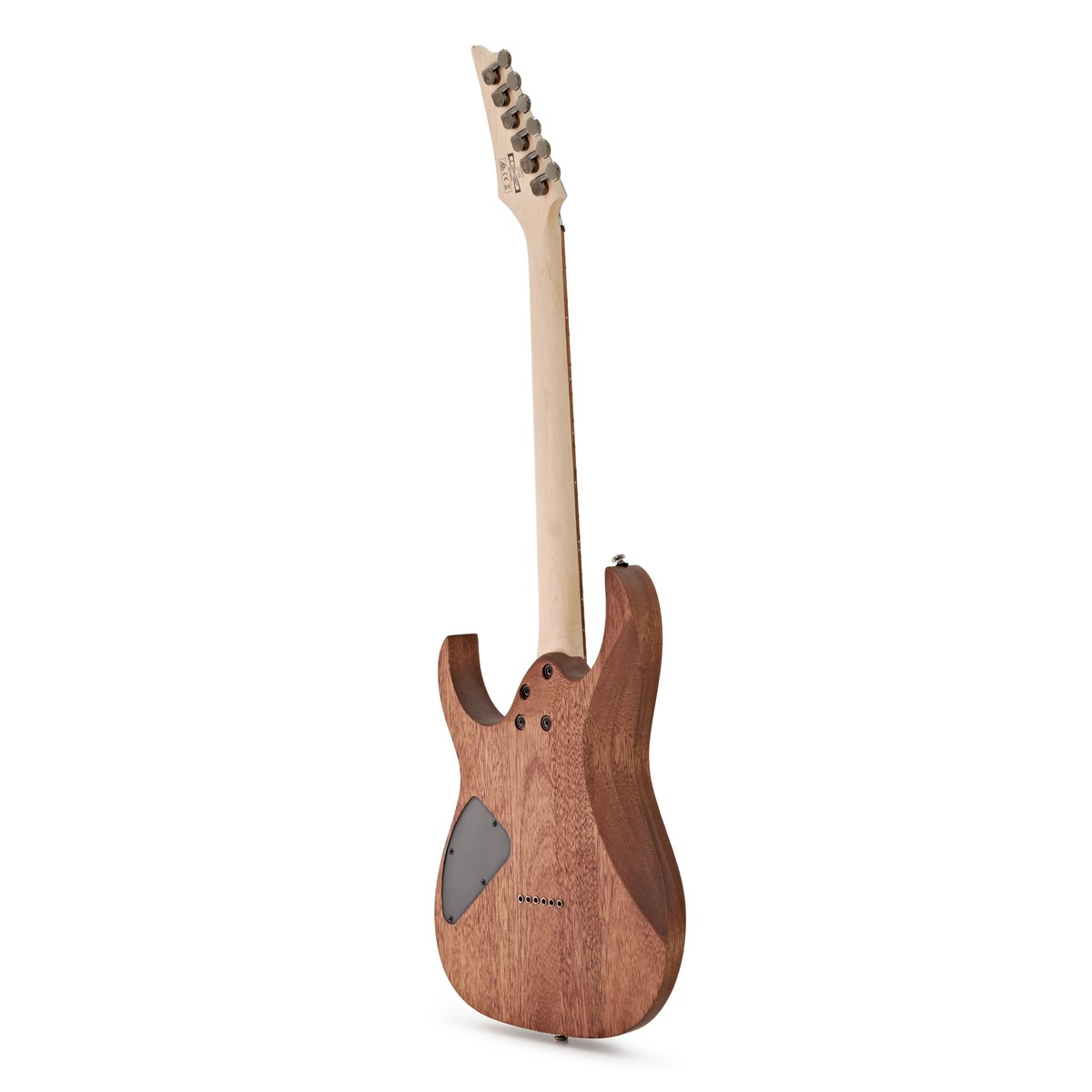 Đàn Guitar Điện Ibanez RG Standard RG421-Mai Nguyên Music