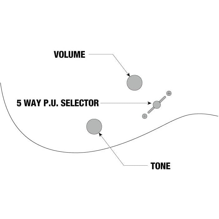 Đàn Guitar Điện Ibanez Standard SEW761FM, Natural Flat-Mai Nguyên Music