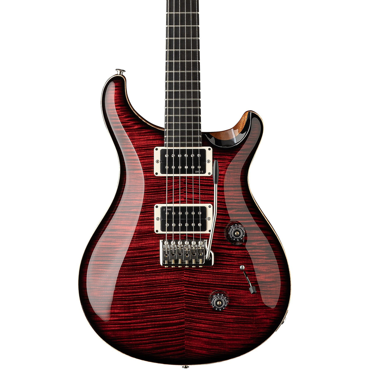 Đàn Guitar Điện PRS Custom 24 "Birds of a Feather" Limited-Edition-Mai Nguyên Music