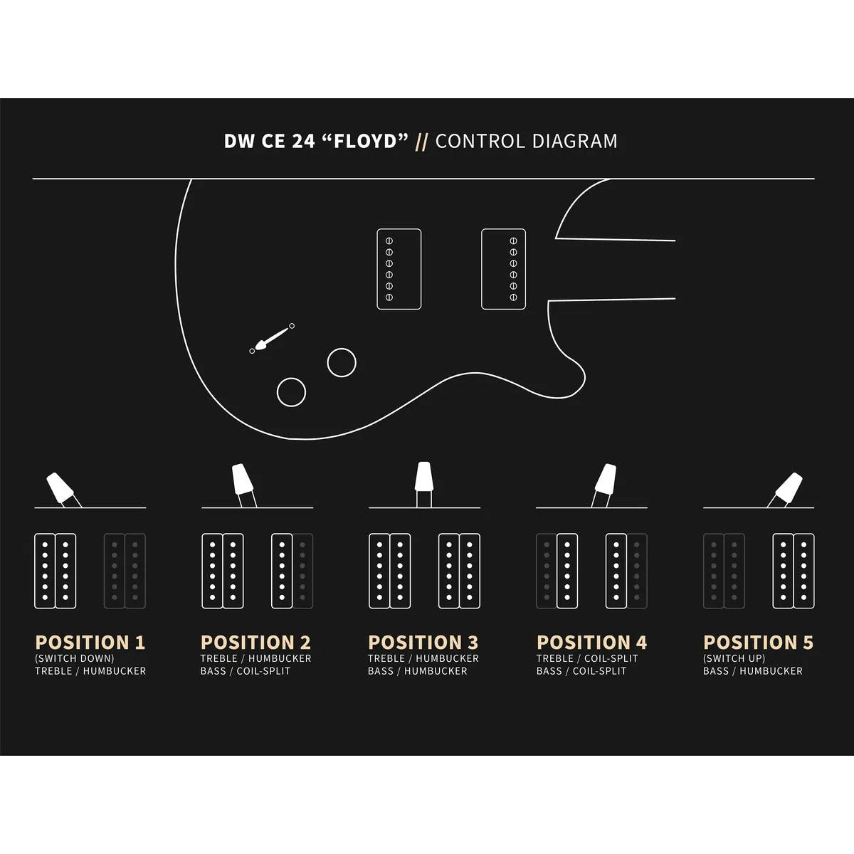 Đàn Guitar Điện PRS Dustie Warning CE 24 Floyd w/Bag, Black Top-Mai Nguyên Music