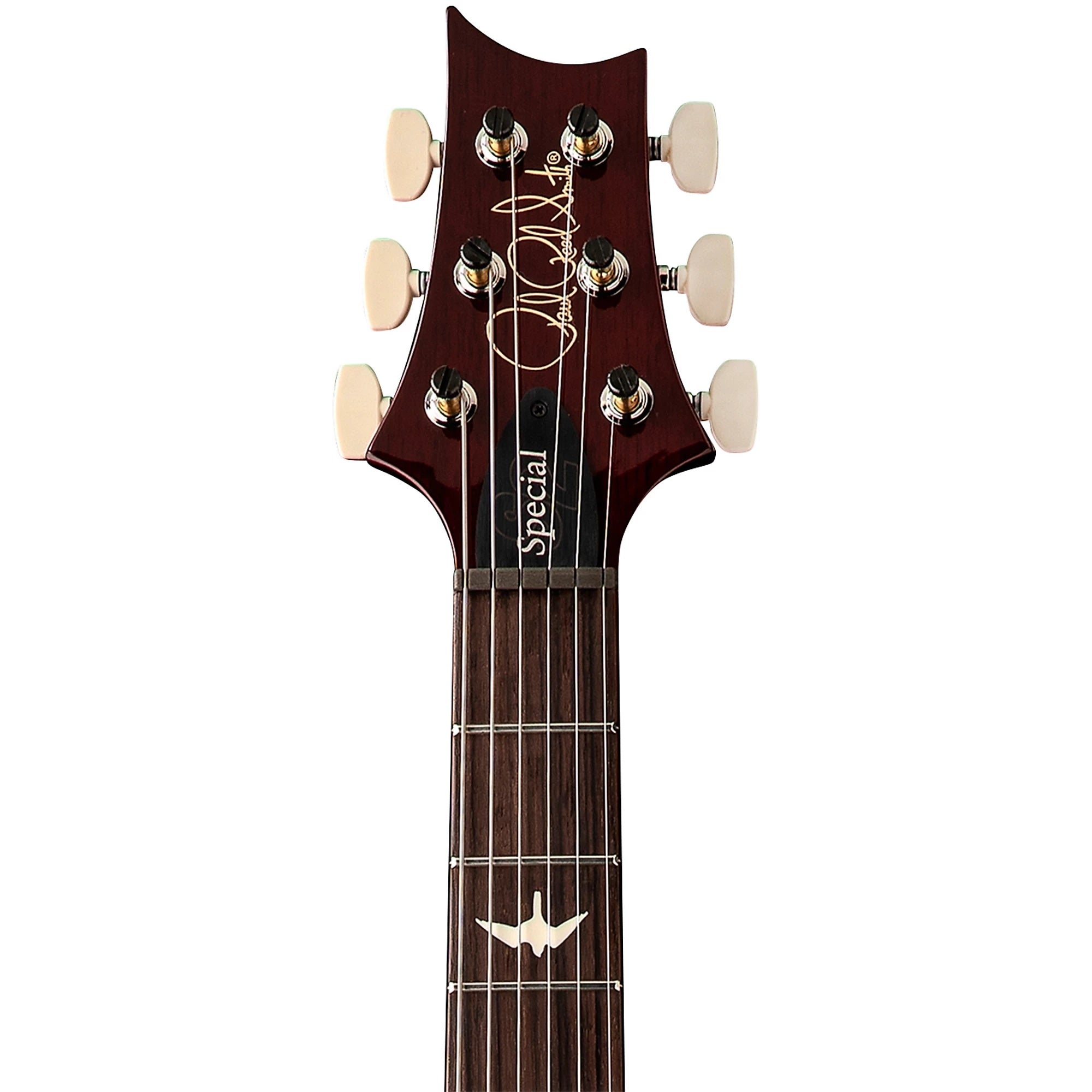 Đàn Guitar Điện PRS S2 Special Semi-Hollow, Rosewood Fingerboard-Mai Nguyên Music