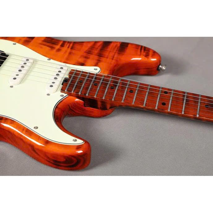 Đàn Guitar Điện Sqoe SEST980, Tiger-Mai Nguyên Music