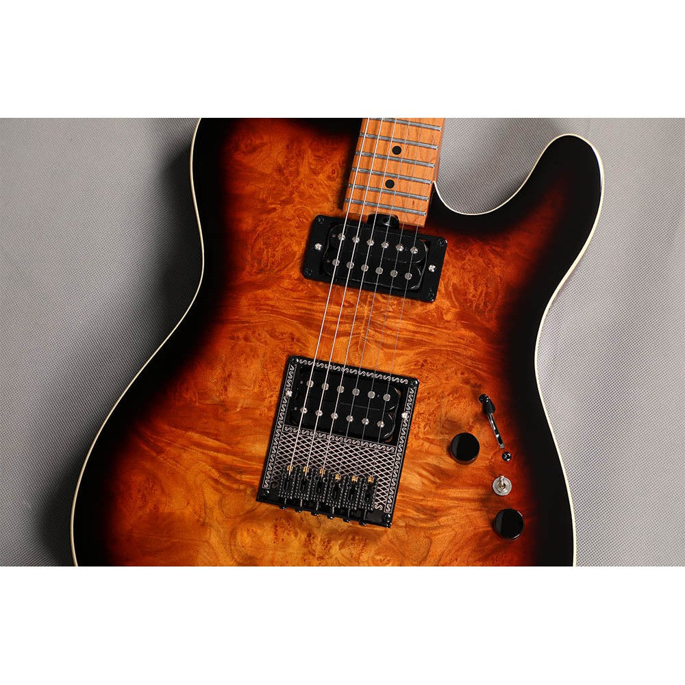 Đàn Guitar Điện Sqoe SETL650 Telecaster-Mai Nguyên Music