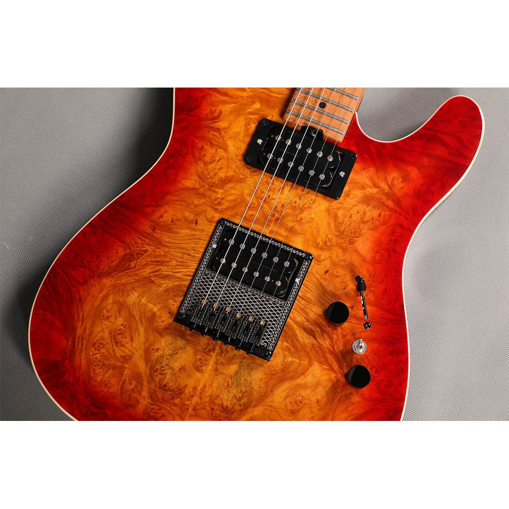 Đàn Guitar Điện Sqoe SETL650 Telecaster-Mai Nguyên Music