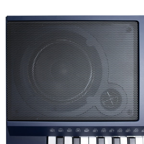 Đàn Organ Kurtzman K360 61-Phím-Mai Nguyên Music