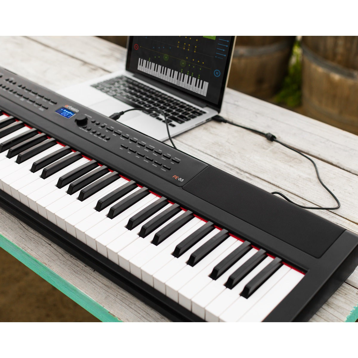 Đàn Piano Điện Artesia PE-88-Mai Nguyên Music