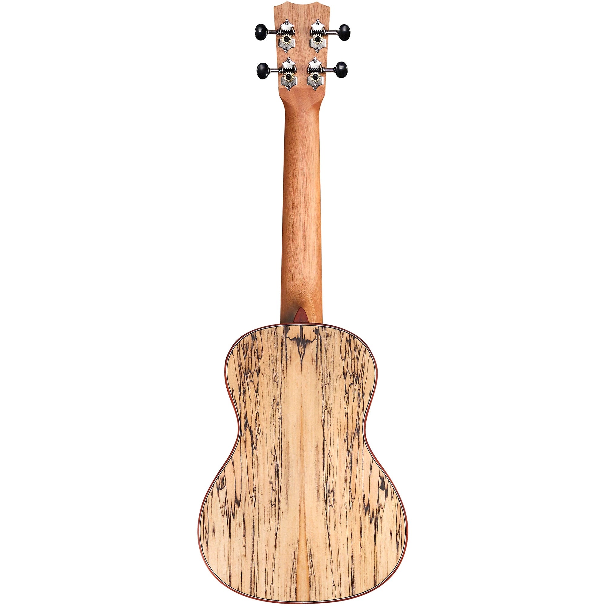 Đàn Ukulele Concert Cordoba 24C Spruce - Natural-Mai Nguyên Music