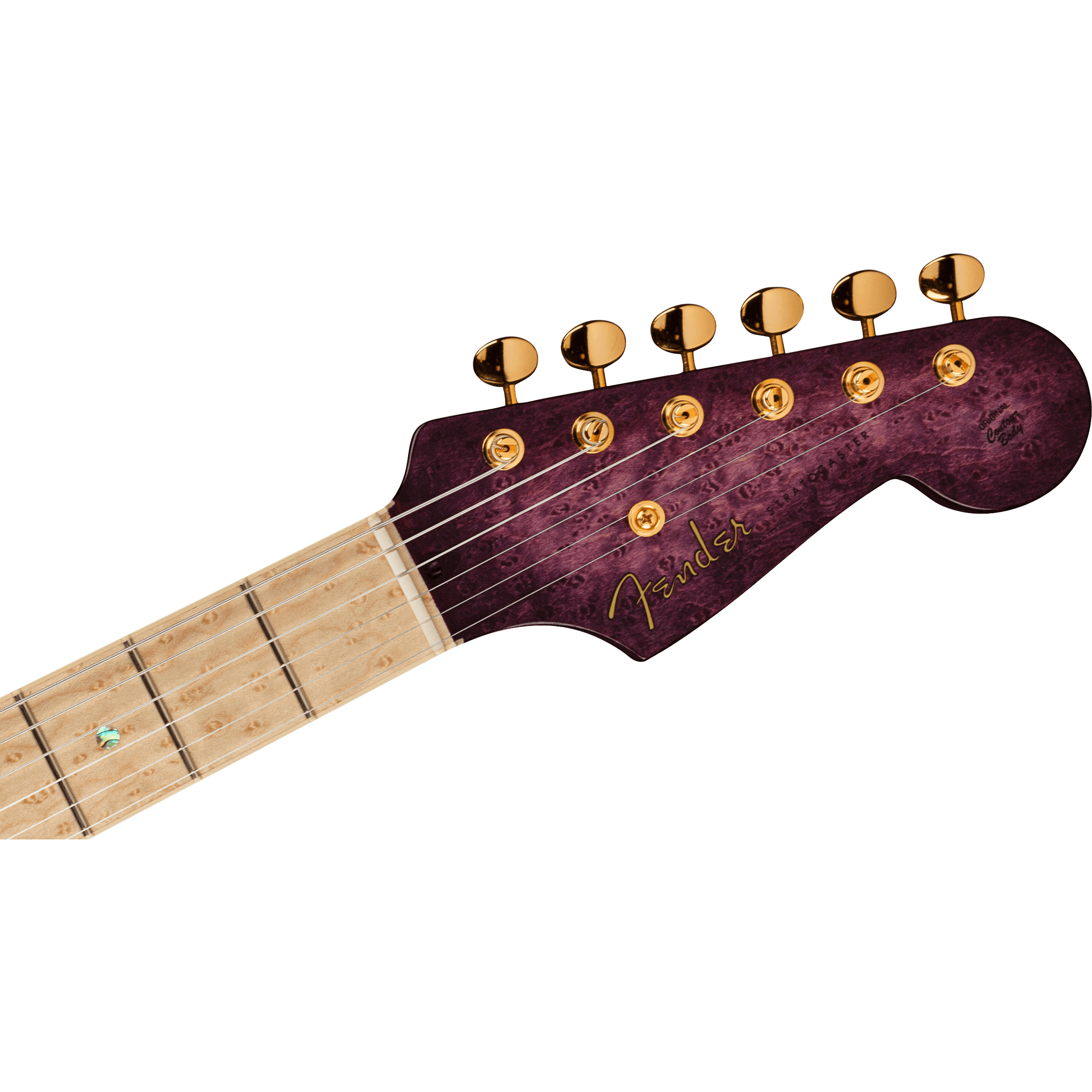 Fender Custom Shop 2021 Yuriy Shishkov Prestige Leaves of Tears Stratocaster NOS-Mai Nguyên Music