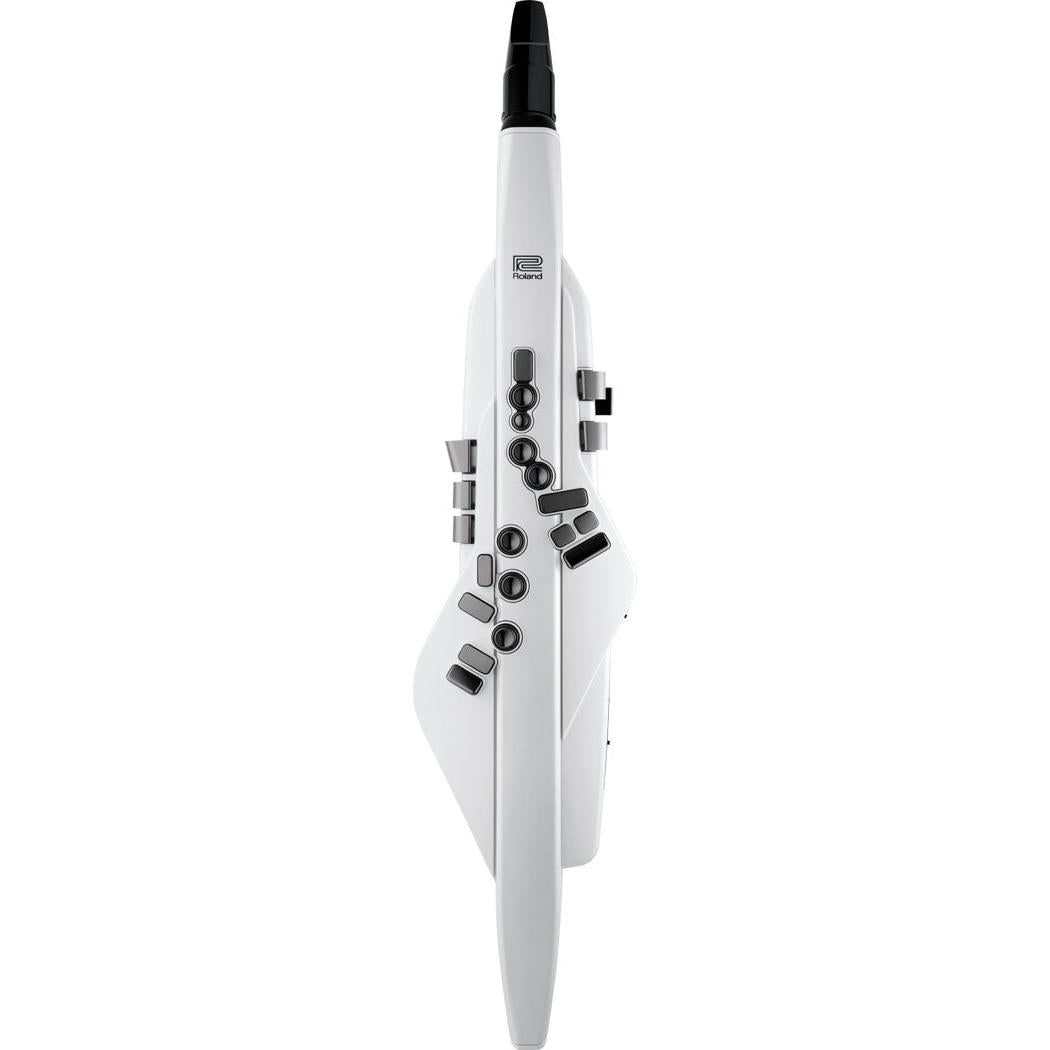Kèn Điện Tử Roland Aerophone AE-20-Mai Nguyên Music