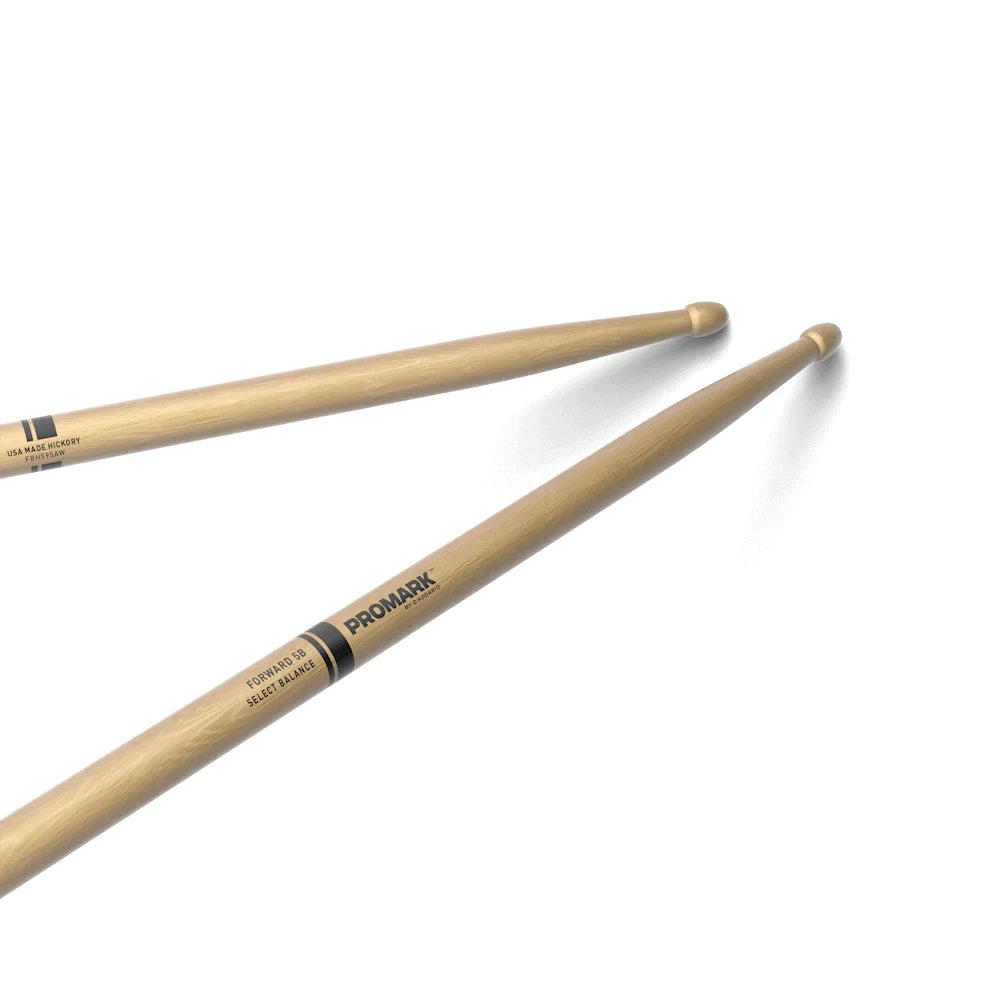 Promark FBH595AW Forward 5B .595 Hickory Acorn Wood Tip Drumstick-Mai Nguyên Music