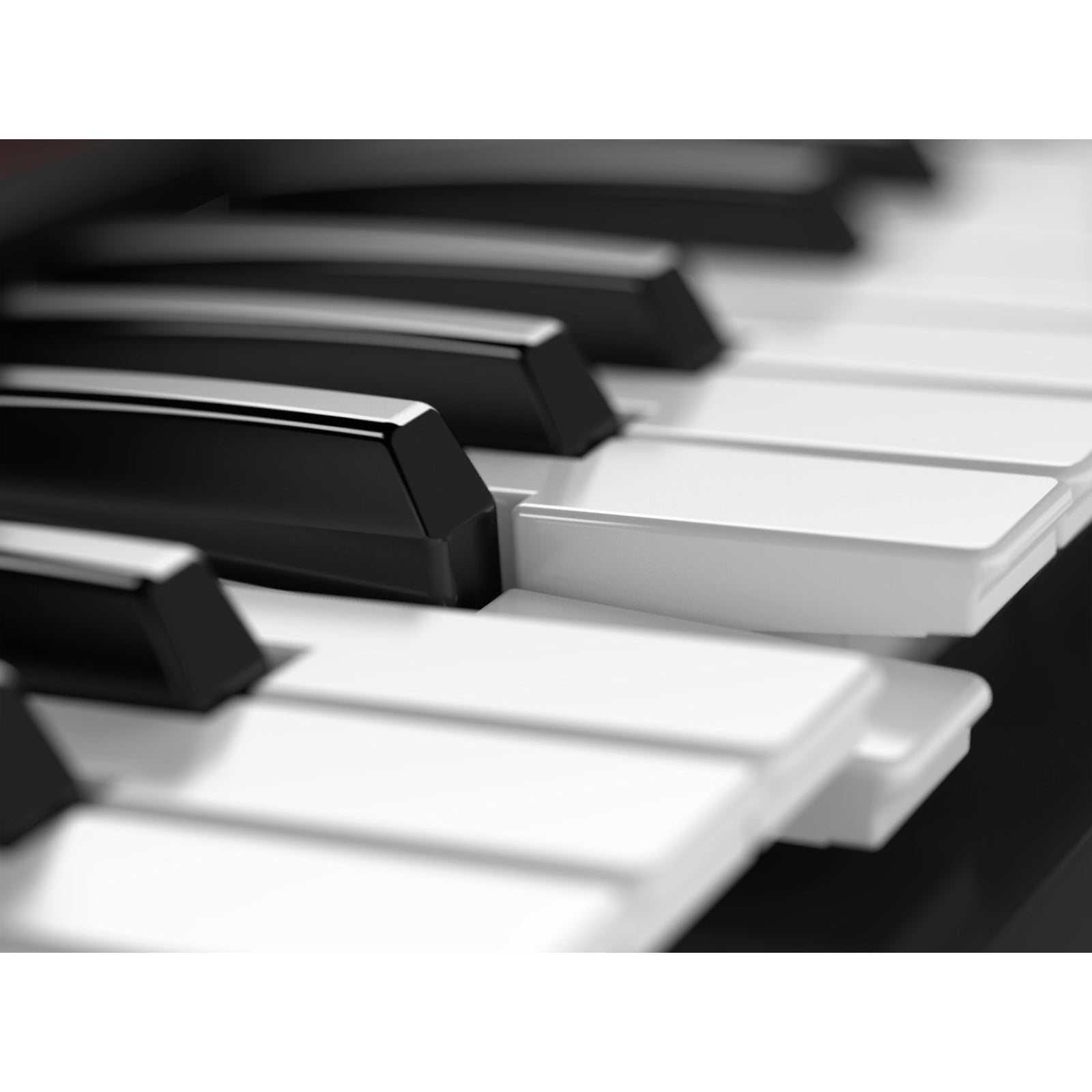 Synthesizer Roland JUNO-DS61-Mai Nguyên Music