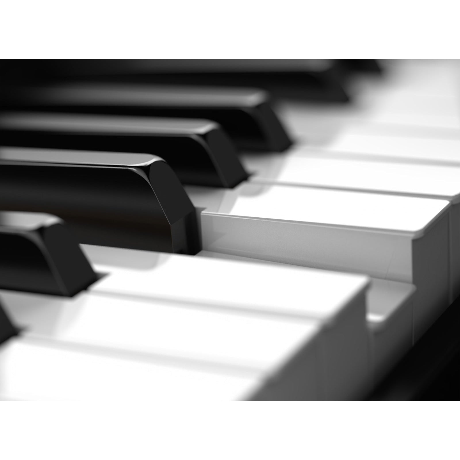 Synthesizer Roland JUNO-DS88-Mai Nguyên Music