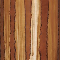 Trống Snare Tama MBSS65 14"x6.5" Starclassic Performer-Mai Nguyên Music