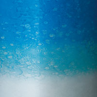 Trống Snare Tama WBSS55 14"x5.5" Starclassic Maple Walnut/Birch-Mai Nguyên Music