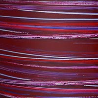 Trống Snare Tama WBSS65 14"x6.5" Starclassic Walnut/Birch-Mai Nguyên Music