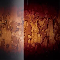 Trống Snare Tama WBSS65 14"x6.5" Starclassic Walnut/Birch-Mai Nguyên Music