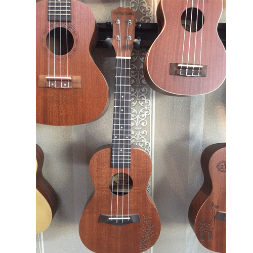 Đàn Ukulele Concert G-Danube Top Mahogany UCM01-Mai Nguyên Music