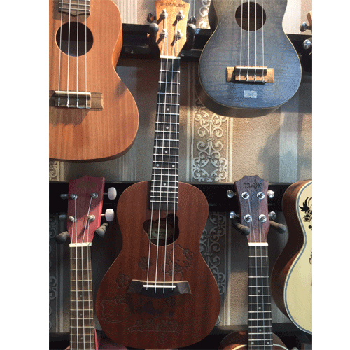 Đàn Ukulele Concert G-Danube UCG04-Mai Nguyên Music