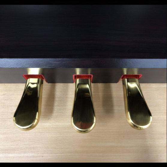Đàn Piano Điện Kawai CN350GP - Qua Sử Dụng