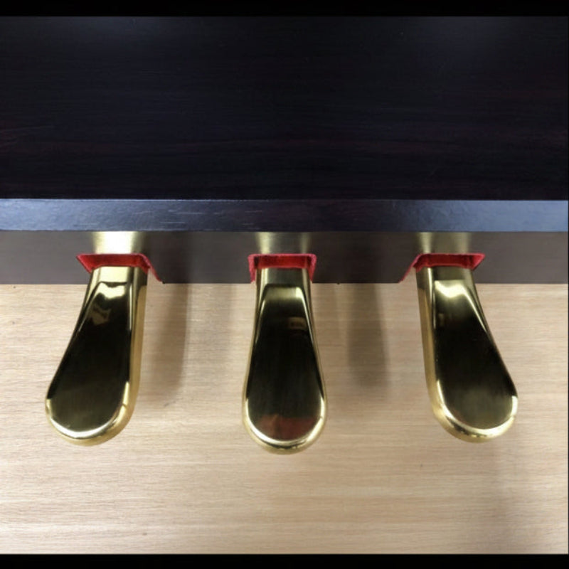 Đàn Piano Điện Kawai CN350GP - Qua Sử Dụng