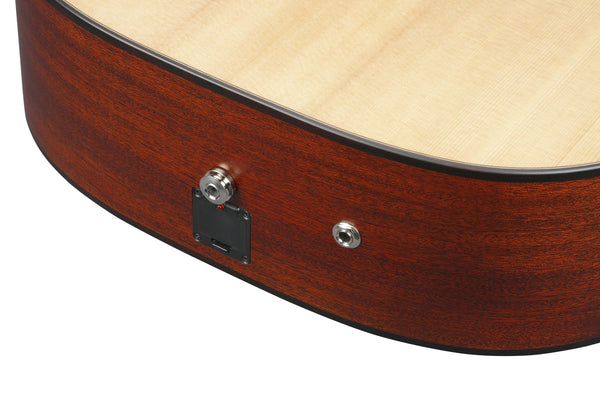 Hệ thống điện tử Ibanez Custom Electronics có 2 đầu ra