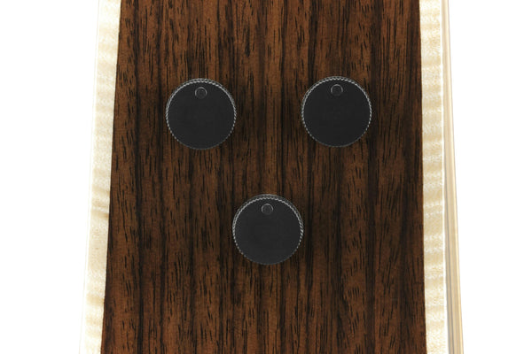 Ibanez Custom Electronics w/Âm lượng thu âm dưới yên ngựa, Âm lượng thu âm dưới yên ngựa và Âm lượng thu âm tiếp xúc