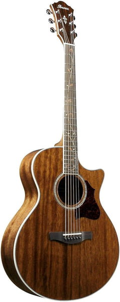 Đàn Guitar Acoustic Ibanez AE245