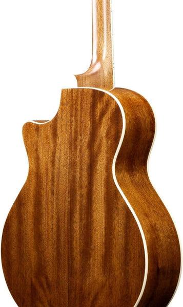Đàn Guitar Acoustic Ibanez AE245
