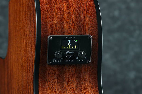 Tiền khuếch đại Ibanez AEQ-TTS có Bộ điều chỉnh tích hợp