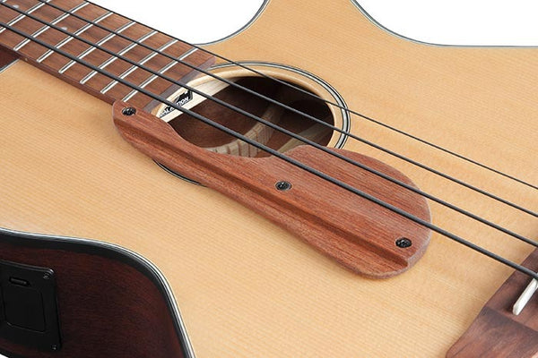 Cây bass này được trang bị một chỗ để ngón tay đặc biệt. Thiết kế này cho phép người chơi đặt ngón tay cái của mình trên một phạm vi rộng của nhạc cụ, dựa trên vị trí thoải mái và phù hợp nhất với phong cách chơi của họ.