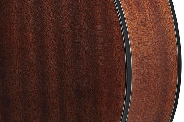 Sapele mặt sau và mặt bên