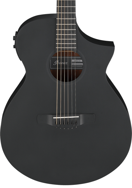 Đàn Guitar Acoustic Ibanez AEWC13-WK