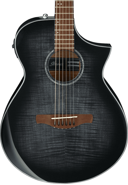 Đàn Guitar Acoustic Ibanez AEWC400-TKS