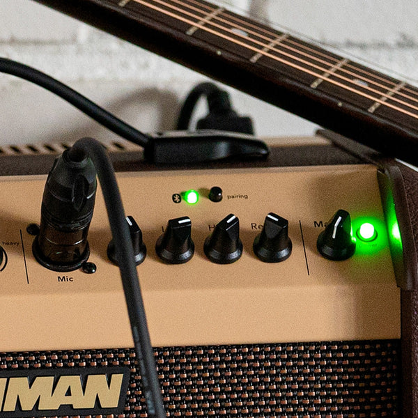 Amp Fishman Loudbox Mini Bluetooth 60W