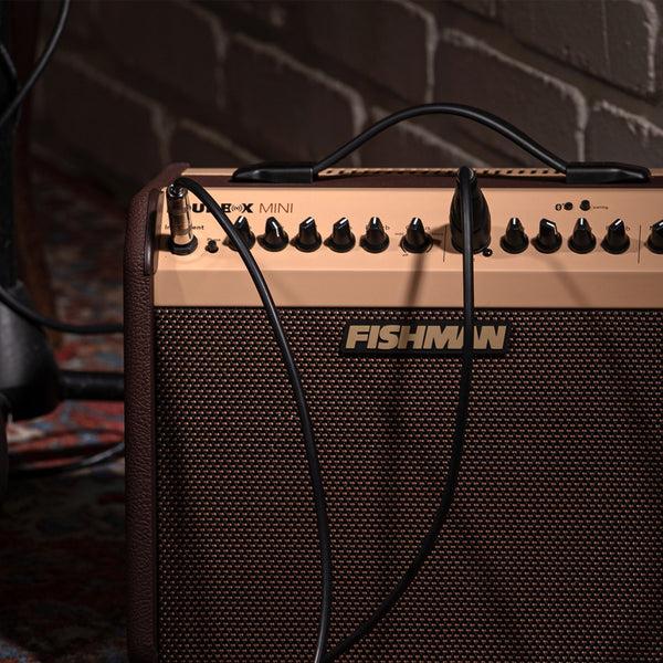Amp Fishman Loudbox Mini Bluetooth 60W