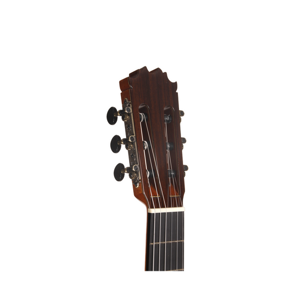 Ebony Fingerboard