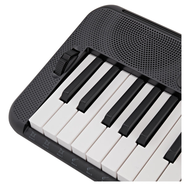 Đàn Organ Casio CT-S300
