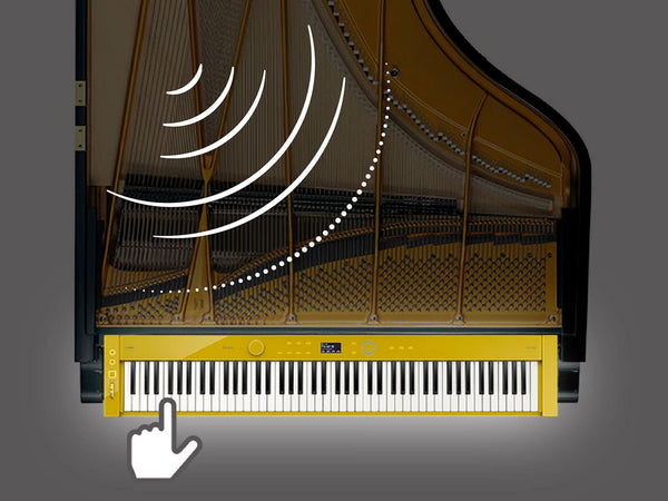Nguồn Âm Thanh (Sound Source)